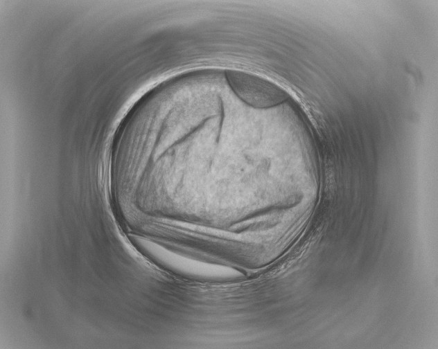 X0000115801515200912111159