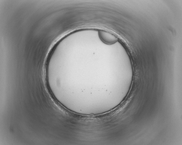 X0000115801517200912111159