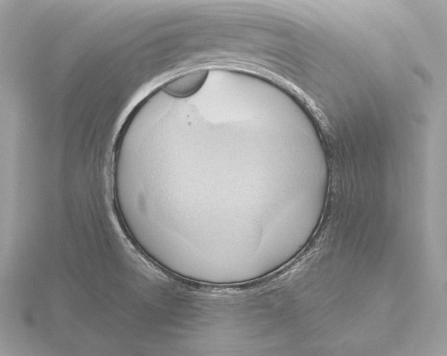 X0000115801522200912111159