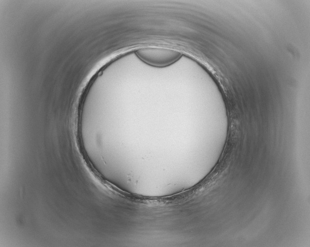 X0000115801523200912111159