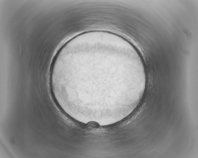 X0000115801525200912111159