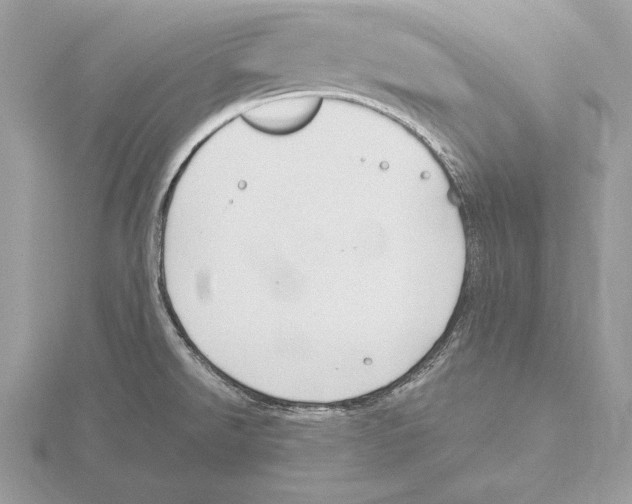 X0000115801526200912111159