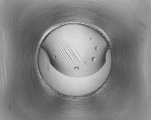 X0000115801530200912111159