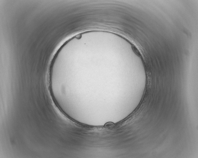 X0000115801531200912111159