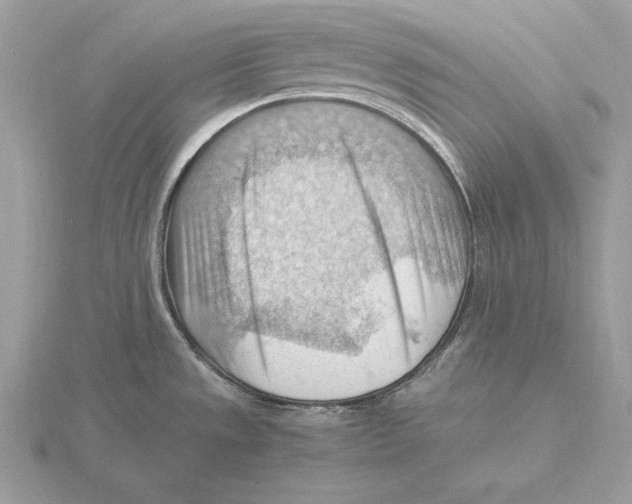 X0000115801533200912111159