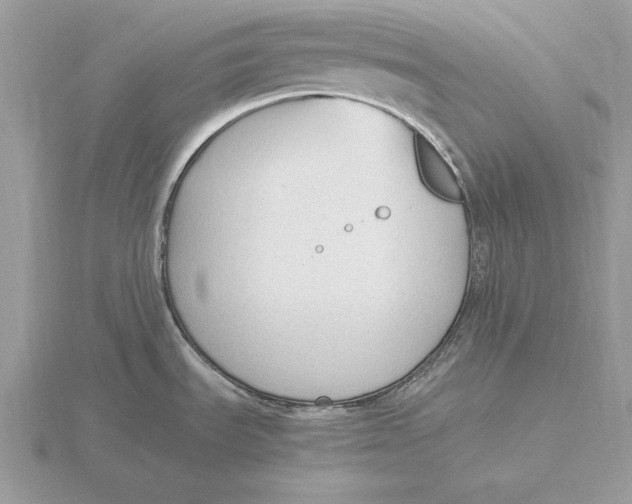 X0000115801535200912111159