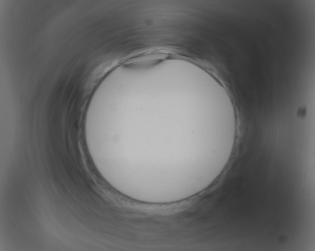 X0000115800001200912241903