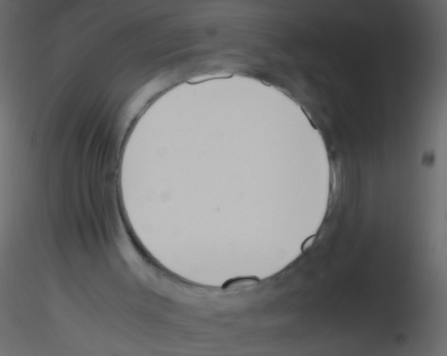 X0000115800003200912241903