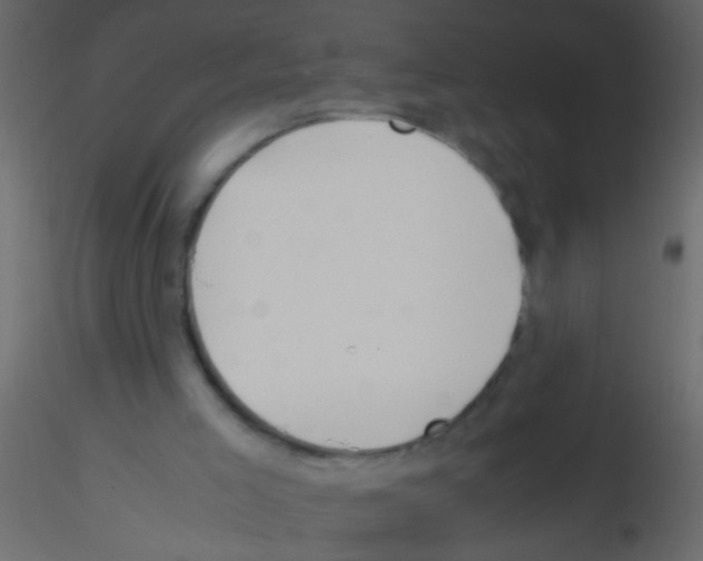 X0000115800005200912241902