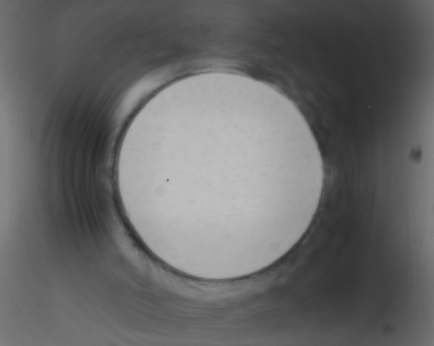 X0000115800006200912241902