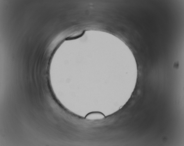 X0000115800007200912241902