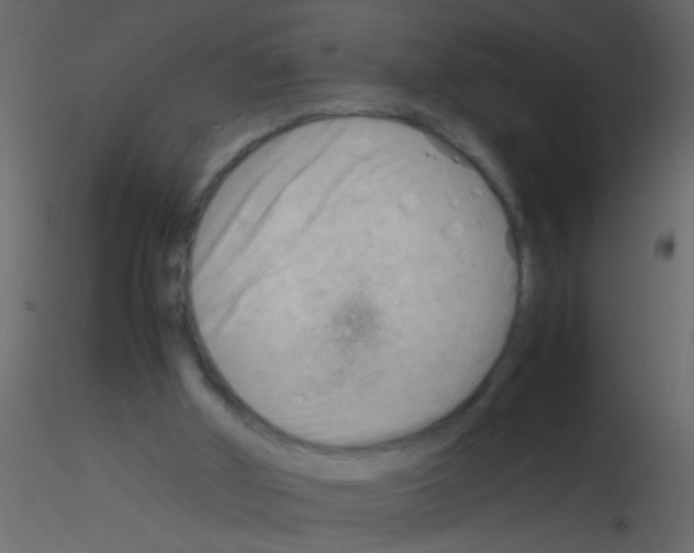 X0000115800010200912241902