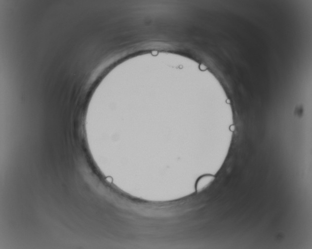 X0000115800011200912241902