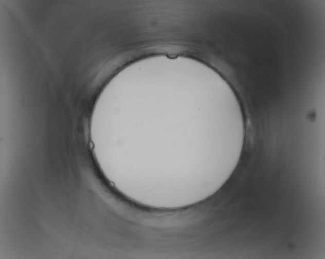 X0000115800013200912241902