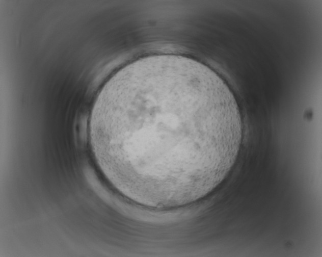 X0000115800014200912241902