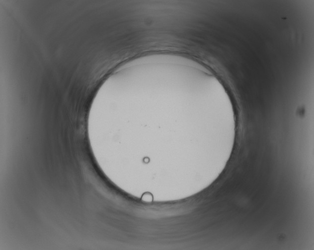 X0000115800017200912241902