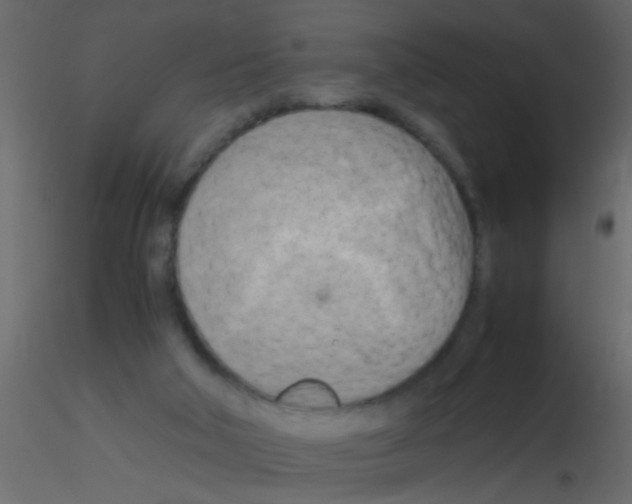 X0000115800018200912241902