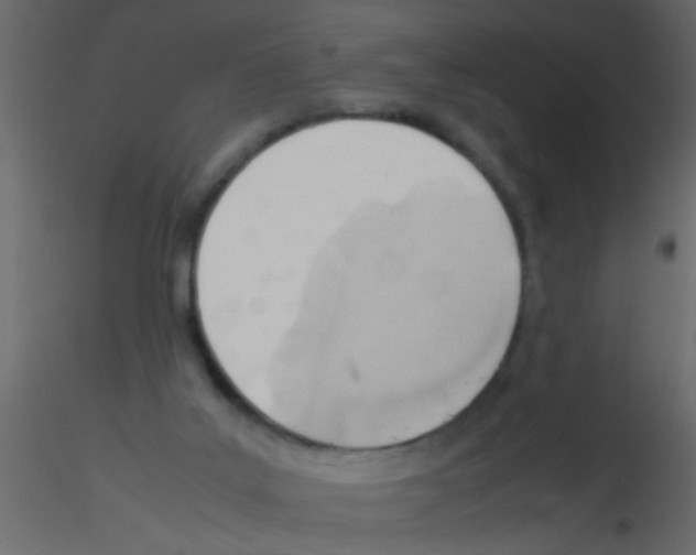 X0000115800019200912241902