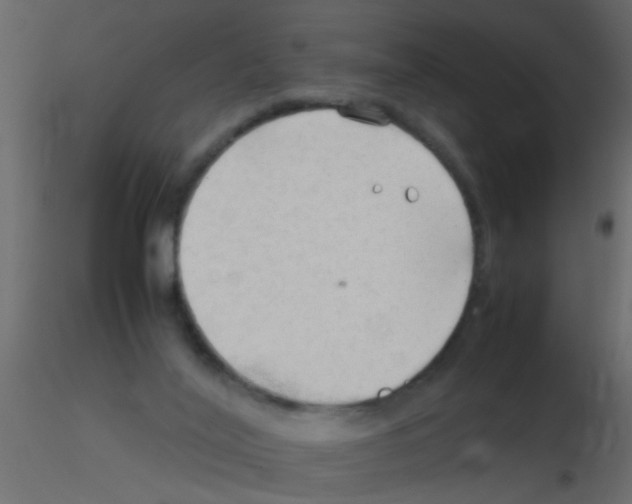 X0000115800020200912241902