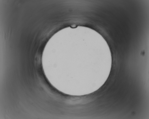 X0000115800021200912241902