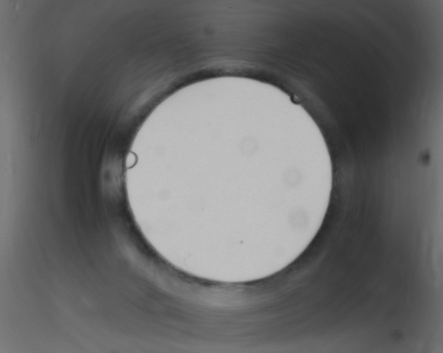 X0000115800024200912241902