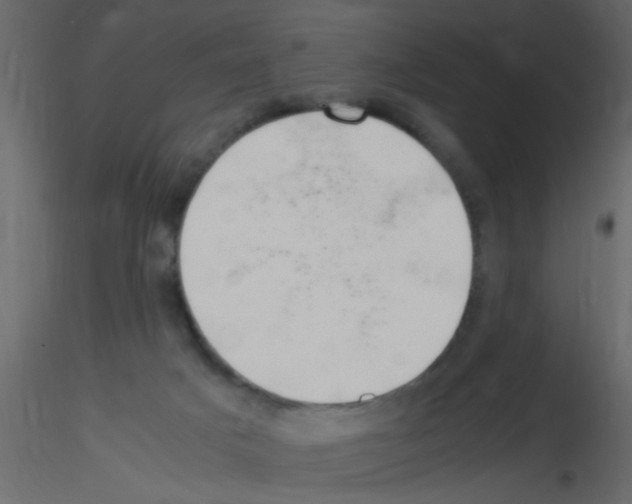 X0000115800025200912241902