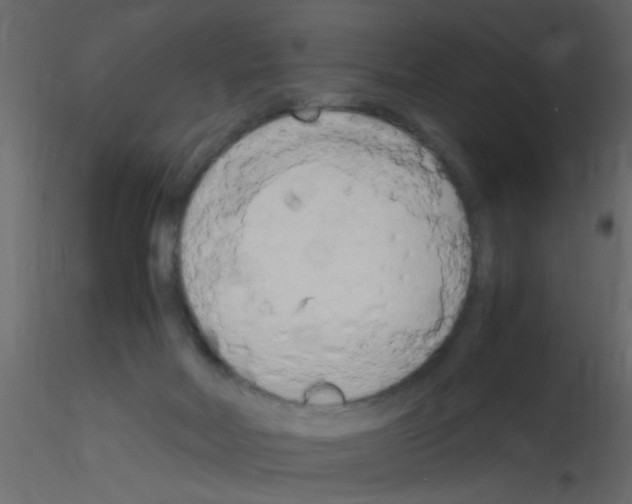 X0000115800026200912241902