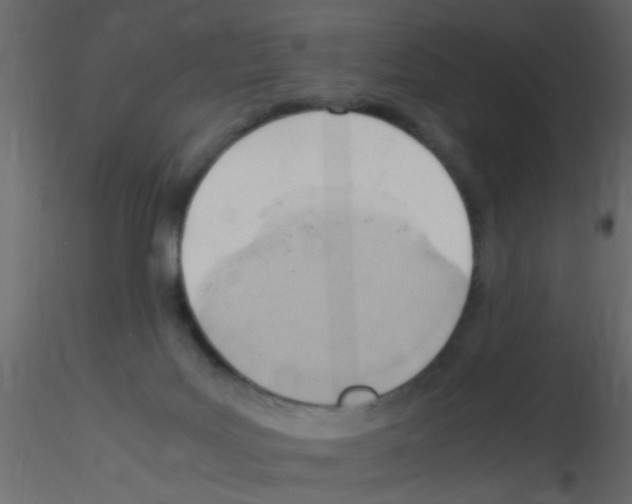 X0000115800027200912241902