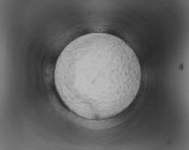 X0000115800030200912241902