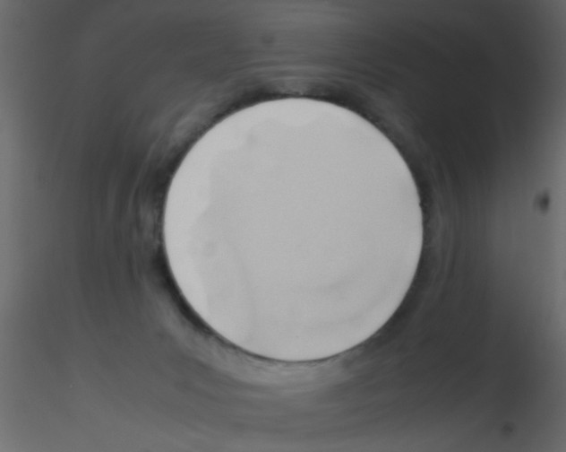 X0000115800031200912241902