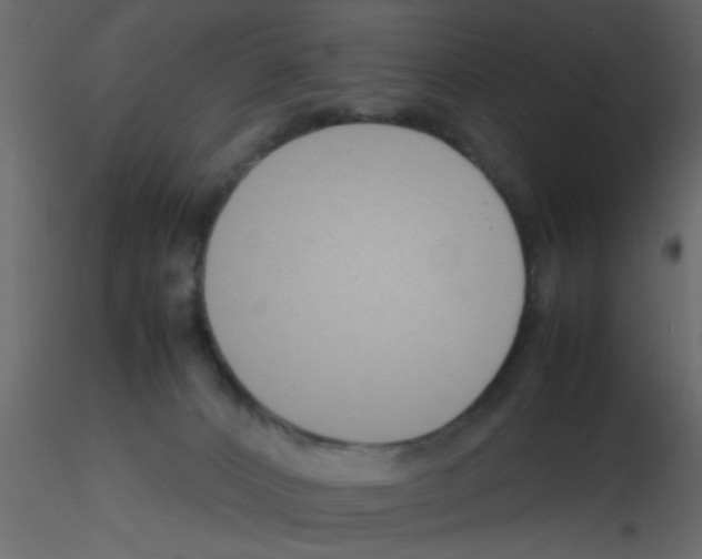 X0000115800032200912241902