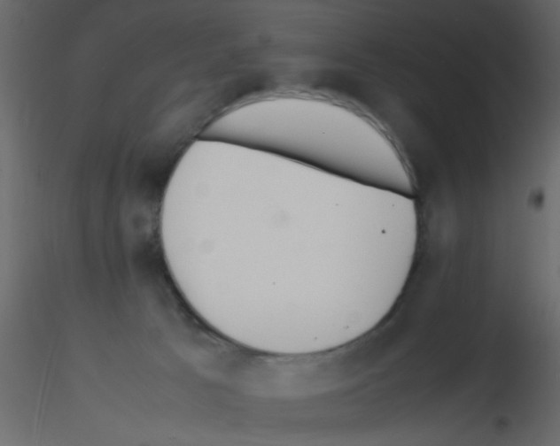 X0000115800033200912241902