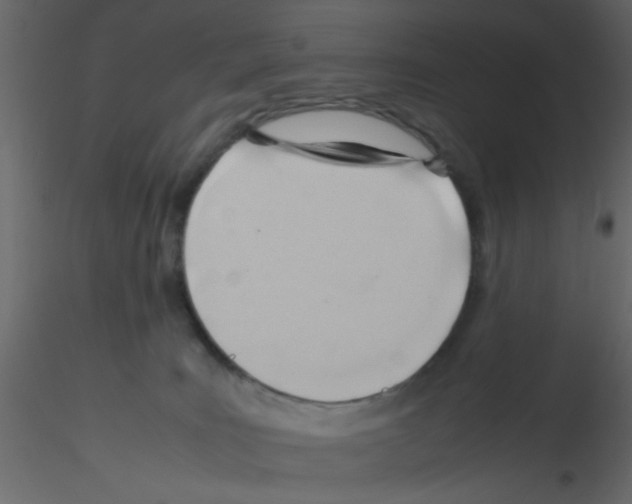 X0000115800035200912241902