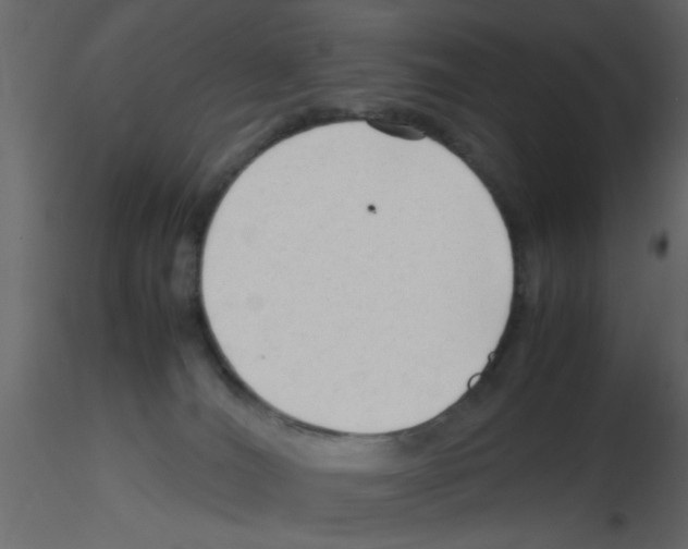 X0000115800036200912241902