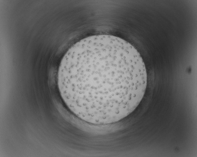 X0000115800038200912241902