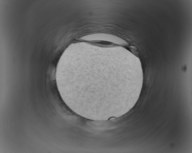 X0000115800041200912241902