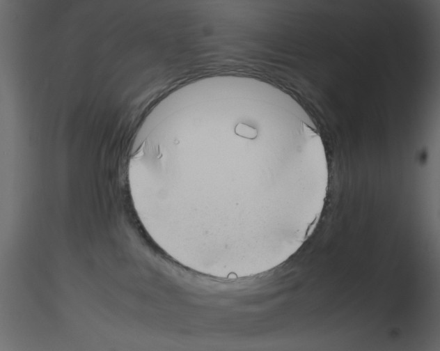 X0000115800043200912241902