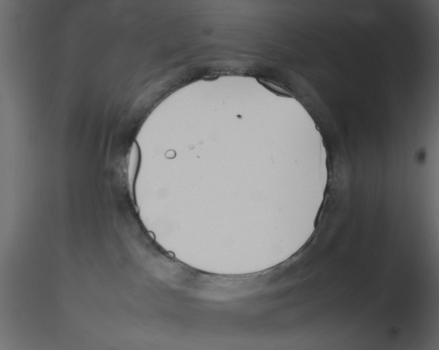 X0000115800045200912241902