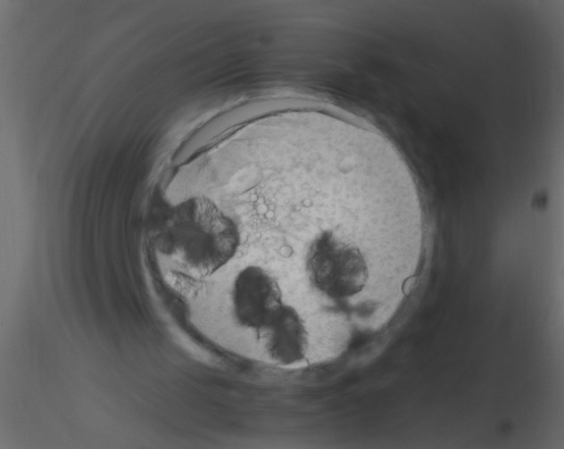 X0000115800049200912241901