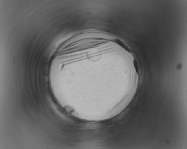 X0000115800050200912241901