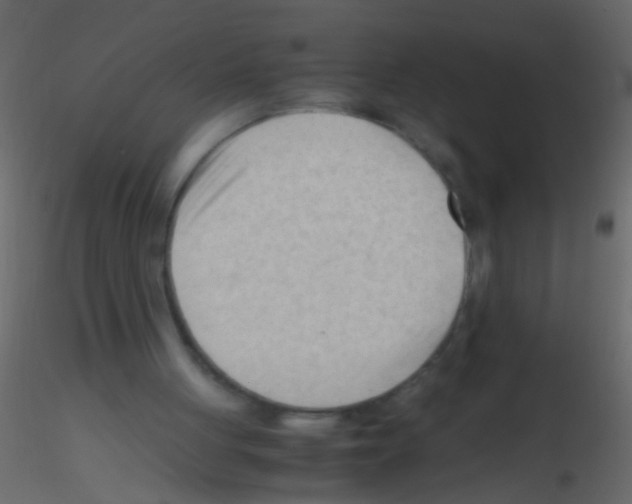 X0000115800051200912241901