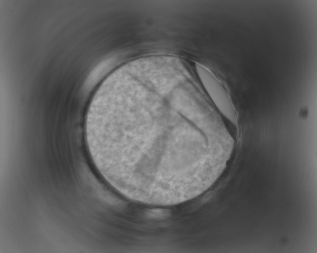 X0000115800053200912241901