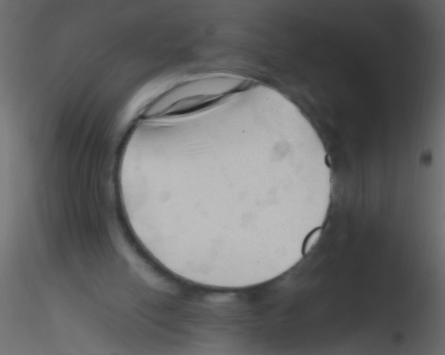 X0000115800054200912241901