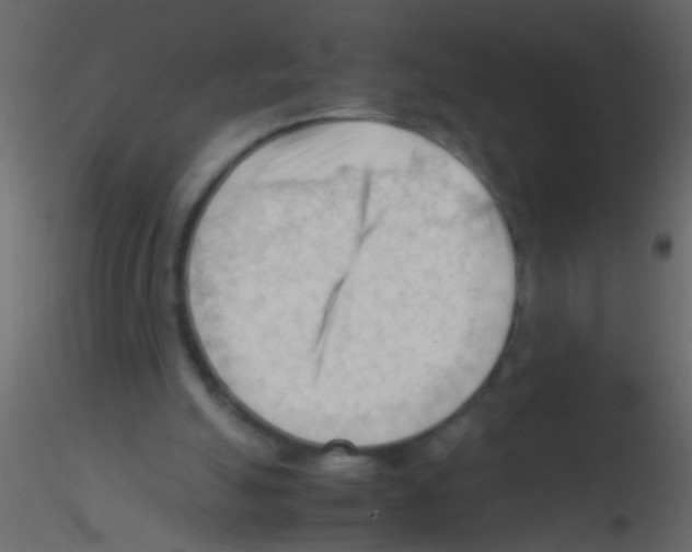 X0000115800055200912241901