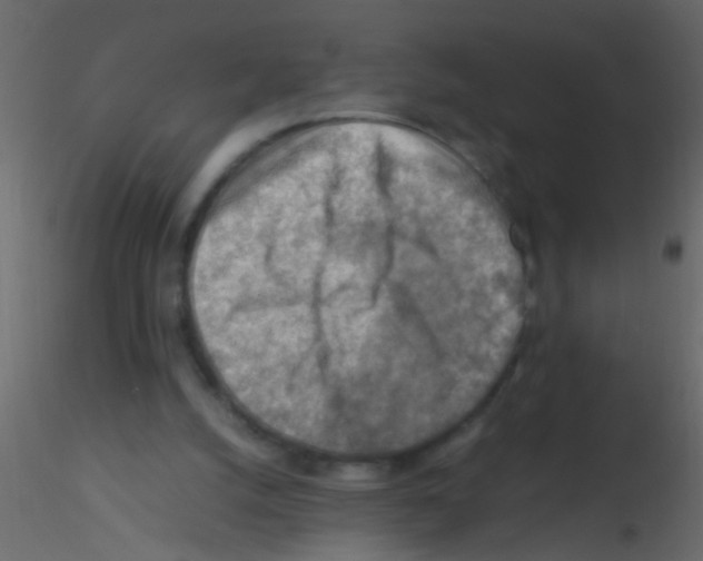 X0000115800056200912241901