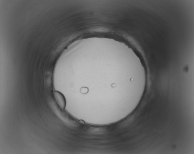 X0000115800057200912241901