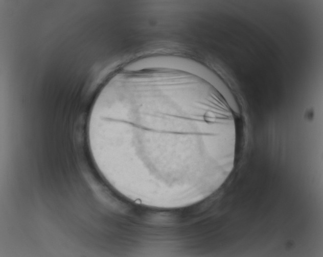 X0000115800058200912241901