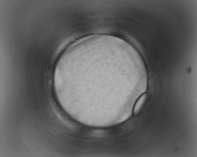 X0000115800059200912241901