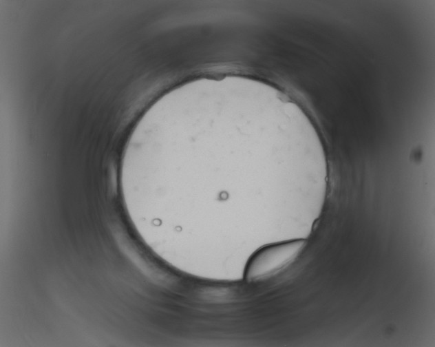 X0000115800061200912241901