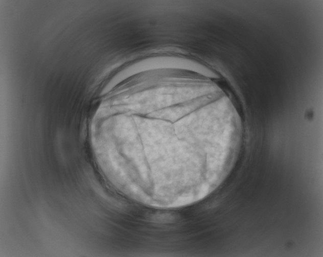 X0000115800063200912241901